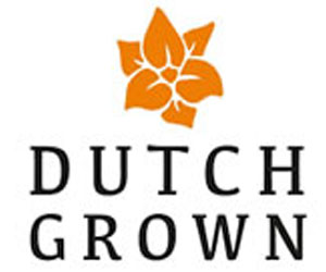 Buy online top quality Dutch Flower bulbs – Business Horizon
