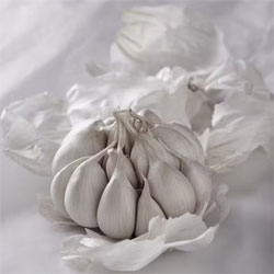 Garlic – Business Horizon