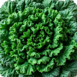 Kale – Business Horizon