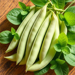 Limba Beans – Business Horizon