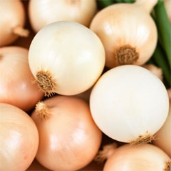 Onions – Business Horizon