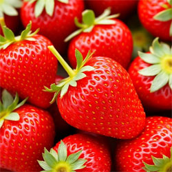 Strawberries – Business Horizon