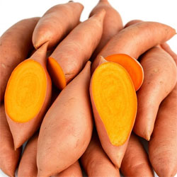 Sweet Potatoes – Business Horizon