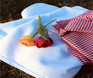 Home and Garden – Business Horizon