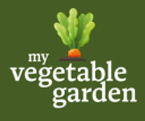 Cultivate your own vegetable garden – Business Horizon