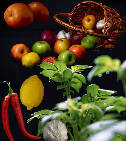 Cultivate your own vegetable garden – Business Horizon
