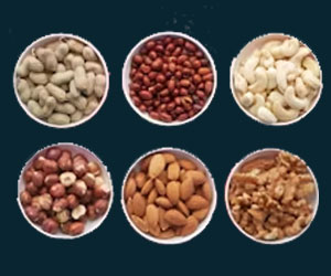 Indian Nuts – Business Horizon