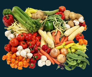 Indian Vegetables – Business Horizon