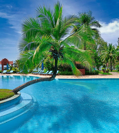 Amazing holiday offers for all types of holidays – Business Horizon