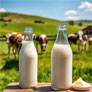 Cow milk, nutrition and types of benefits – Business Horizon